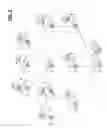 Fig. 04 - Type path indexing