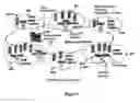Fig. 03 - Extracting data changes and storing data history to allow for instantaneous access to and reconstruction of any point-in-time data