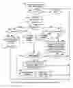 Fig. 08 - Extracting data changes and storing data history to allow for instantaneous access to and reconstruction of any point-in-time data