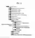 Fig. 14 - Methodology for constructing and optimizing a self-populating directory