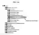 Fig. 17 - Methodology for constructing and optimizing a self-populating directory