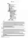Fig. 18 - Methodology for constructing and optimizing a self-populating directory