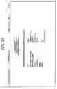 Fig. 24 - Image communication apparatus, image communication method, and memory medium