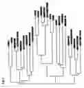 Fig. 02 - Nucleic acid sequences encoding proteins associated with abiotic stress response