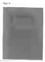 Fig. 06 - Method for floating glasses on bismuth-containing media