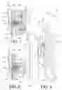 Fig. 04 - Rotatably adjustable quiver support