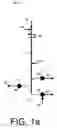 Fig. 02 - Active rotational balancing system for orbital sanders