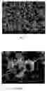 Fig. 02 - Metal particles and method for producing same