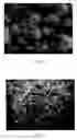 Fig. 03 - Metal particles and method for producing same