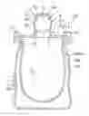 Fig. 01 - Reverse-flow prevention plug for container, the container, and pouring device