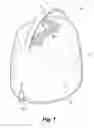 Fig. 02 - Watering jug for plants