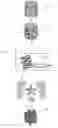 Fig. 01 - Ornamental article and manufacturing method thereof