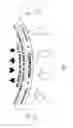 Fig. 02 - Poker blackjack game