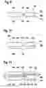 Fig. 08 - Flat gasket and process for the production of a flat gasket