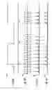 Fig. 04 - LSI testing apparatus