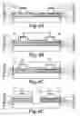 Fig. 05 - Semiconductor laser array and semiconductor laser device having semiconductor laser array