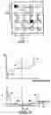 Fig. 02 - Motion estimation and compensation in video compression