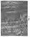 Fig. 02 - Topical nanoparticulate spironolactone formulation