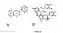 Fig. 09 - Compositions and methods for treatment of solar damage