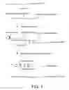 Fig. 02 - Methods and compositions to detect nucleic acids in a biological sample