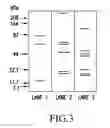 Fig. 04 - Fungal antigens and process for producing the same