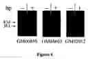 Fig. 04 - Methods for treating familial dysautonomia