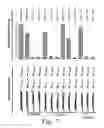 Fig. 09 - Methods and compositions for mediating gene silencing