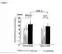 Fig. 04 - Difructose anhydride-containing composition and use thereof