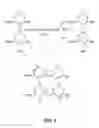 Fig. 02 - Crosslinked polygalacturonic acid used for postsurgical tissue adhesion prevention