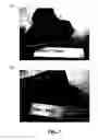 Fig. 08 - Crosslinked polygalacturonic acid used for postsurgical tissue adhesion prevention