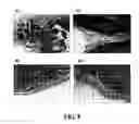 Fig. 09 - Crosslinked polygalacturonic acid used for postsurgical tissue adhesion prevention