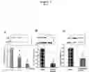 Fig. 02 - LXR/RXR-related methods and compositions