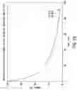 Fig. 17 - Stable amorphous cefdinir