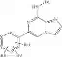 Fig. 216 - Methods of inhibiting kinases