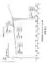 Fig. 45 - Crystalline mycophenolate sodium