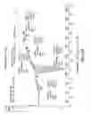 Fig. 49 - Crystalline mycophenolate sodium