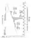 Fig. 71 - Crystalline mycophenolate sodium