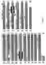 Fig. 02 - Epididymis-specific gene as potential contraceptive target