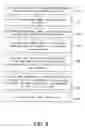Fig. 06 - Core for an absorbent article