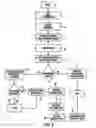 Fig. 07 - Contingency network access for accounts or information