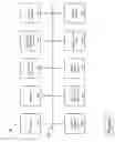 Fig. 02 - Mobile adaptive cache