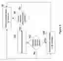 Fig. 06 - Automatic transmission of messages and processing of responses