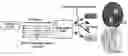 Fig. 01 - Reporting for multi-user services in wireless networks