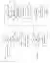 Fig. 17 - Triangular asynchronous replication