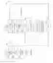 Fig. 30 - Triangular asynchronous replication