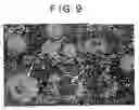 Fig. 09 - Granular metallic iron