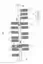 Fig. 02 - Article transport apparatus and article transport method
