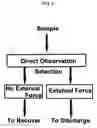 Fig. 07 - Cell analyzing and segregating device