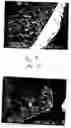 Fig. 09 - Method and apparatus for the formation of particles