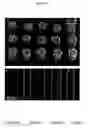 Fig. 06 - Carbon nanotube foam and method of making and using thereof